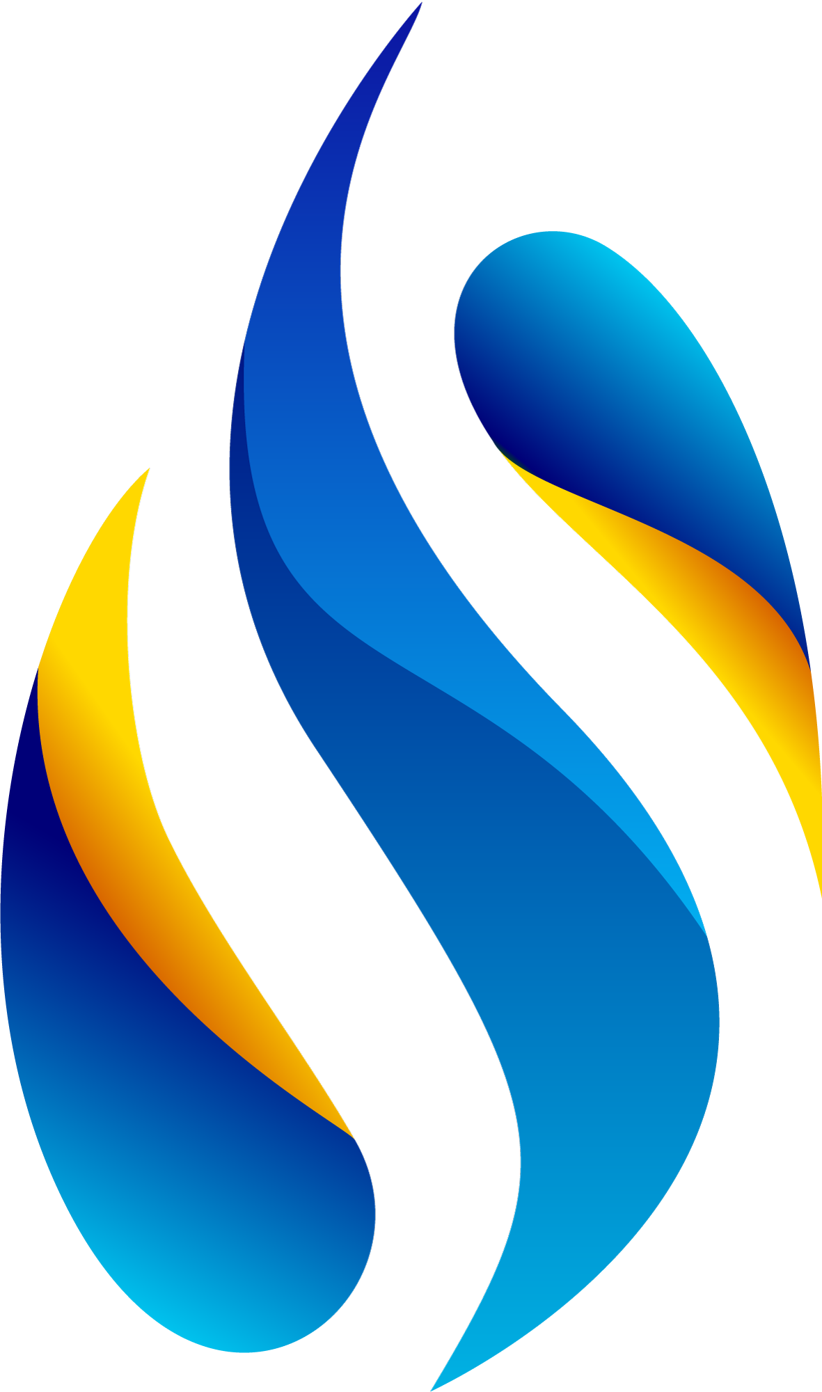 SWS Logo